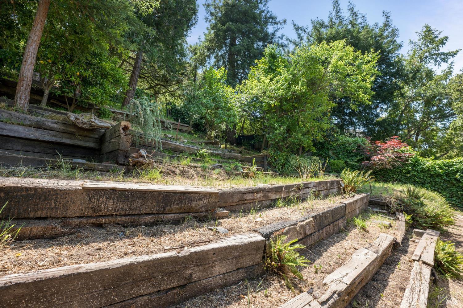 Detail Gallery Image 64 of 69 For 381 Forrest Ave, Fairfax,  CA 94930 - 2 Beds | 1/1 Baths