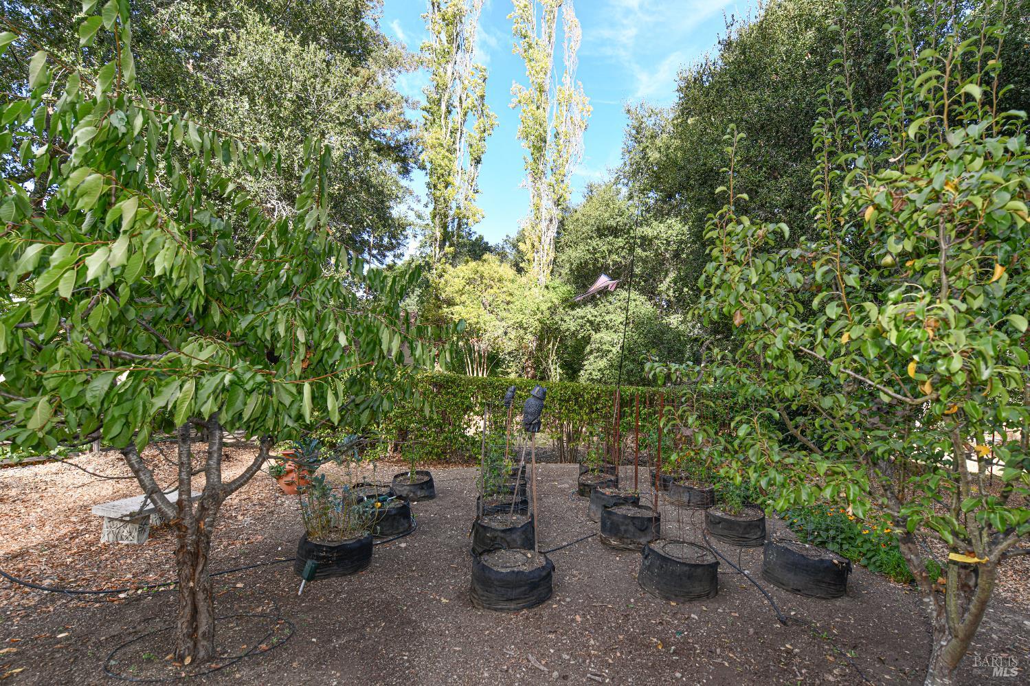 Detail Gallery Image 53 of 65 For 2090 Big Ranch Rd, Napa,  CA 94558 - 3 Beds | 2 Baths