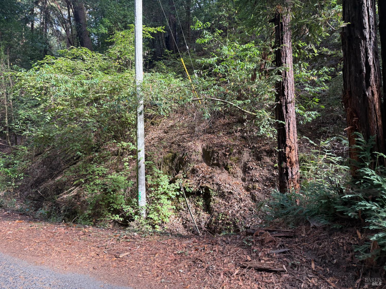 Detail Gallery Image 5 of 5 For 11714 Canyon Dr, Guerneville,  CA 95446 - – Beds | – Baths