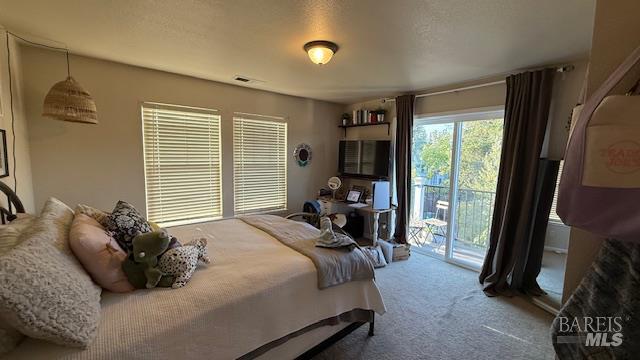 Detail Gallery Image 24 of 38 For 520 Studley St, Sonoma,  CA 95476 - – Beds | – Baths