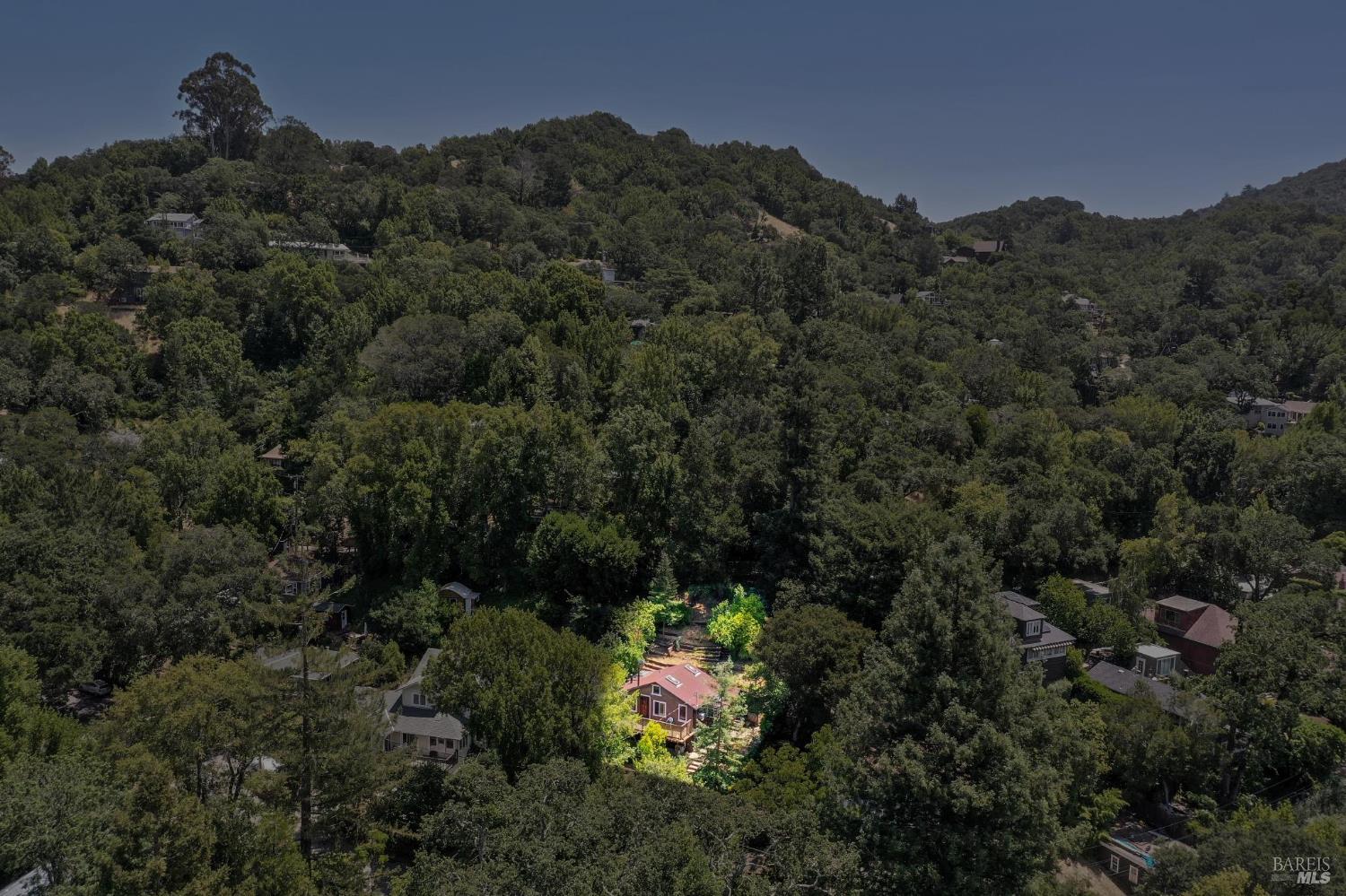 Detail Gallery Image 4 of 69 For 381 Forrest Ave, Fairfax,  CA 94930 - 2 Beds | 1/1 Baths