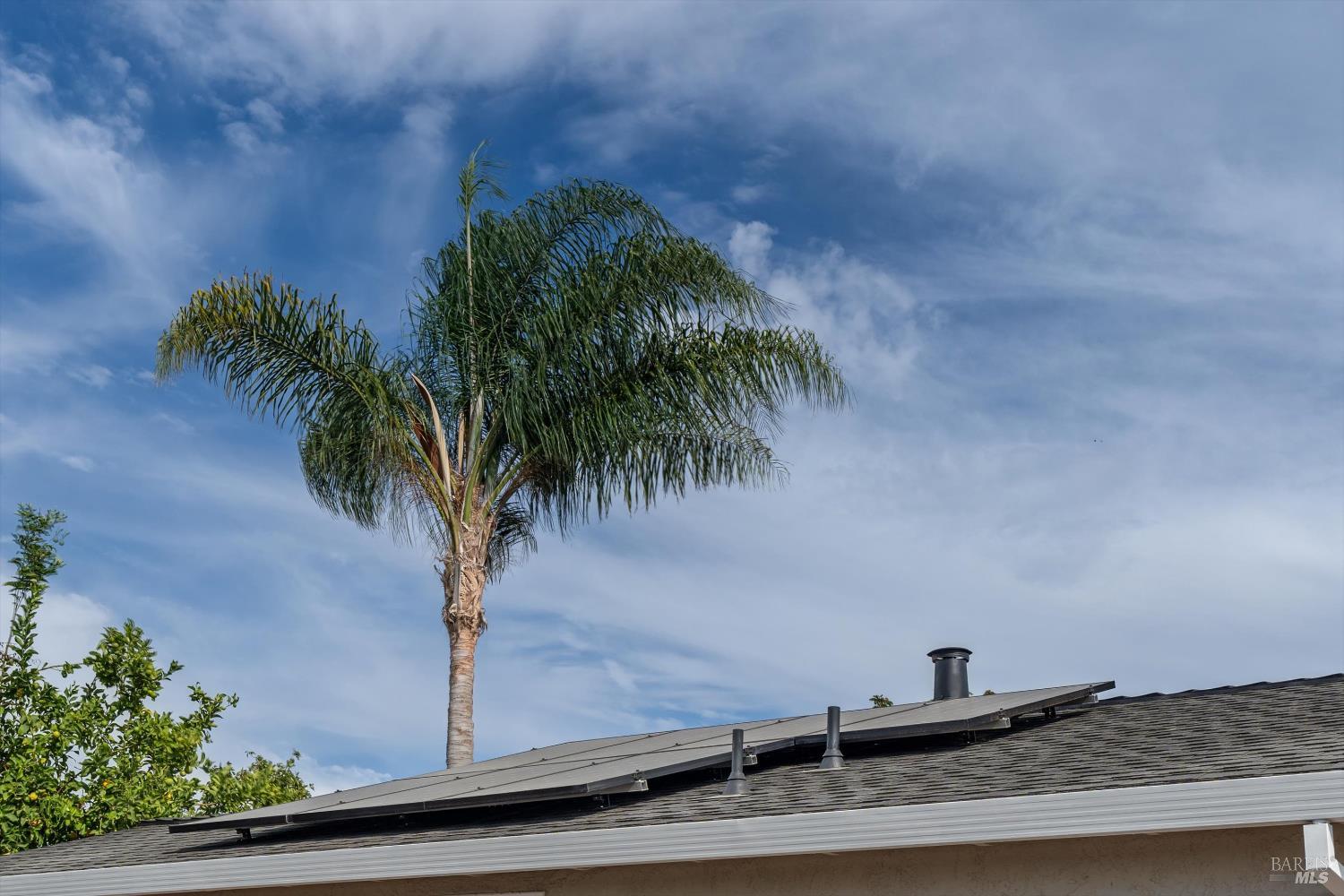 Detail Gallery Image 26 of 28 For 1210 Mastic St, San Jose,  CA 95110 - 2 Beds | 1 Baths
