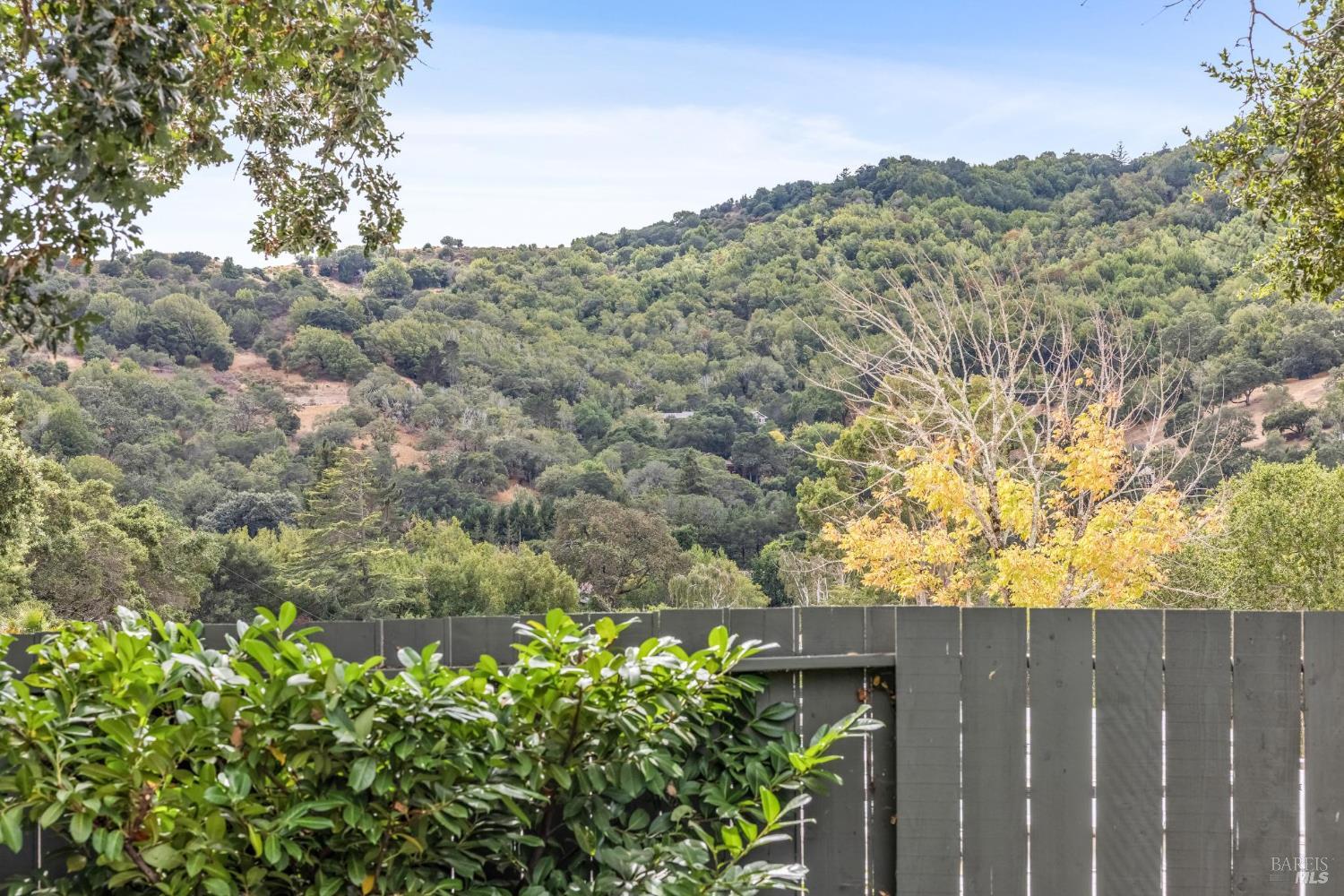 Detail Gallery Image 47 of 61 For 100 Mount Lyell Dr, San Rafael,  CA 94903 - 5 Beds | 2 Baths