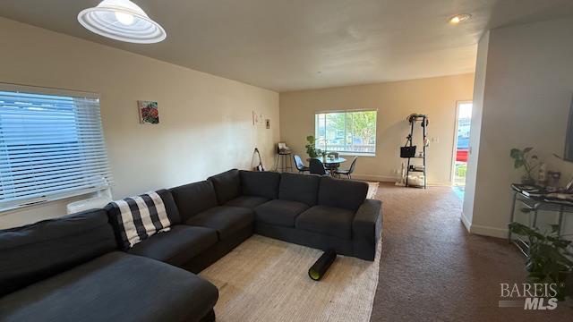 Detail Gallery Image 31 of 38 For 520 Studley St, Sonoma,  CA 95476 - – Beds | – Baths
