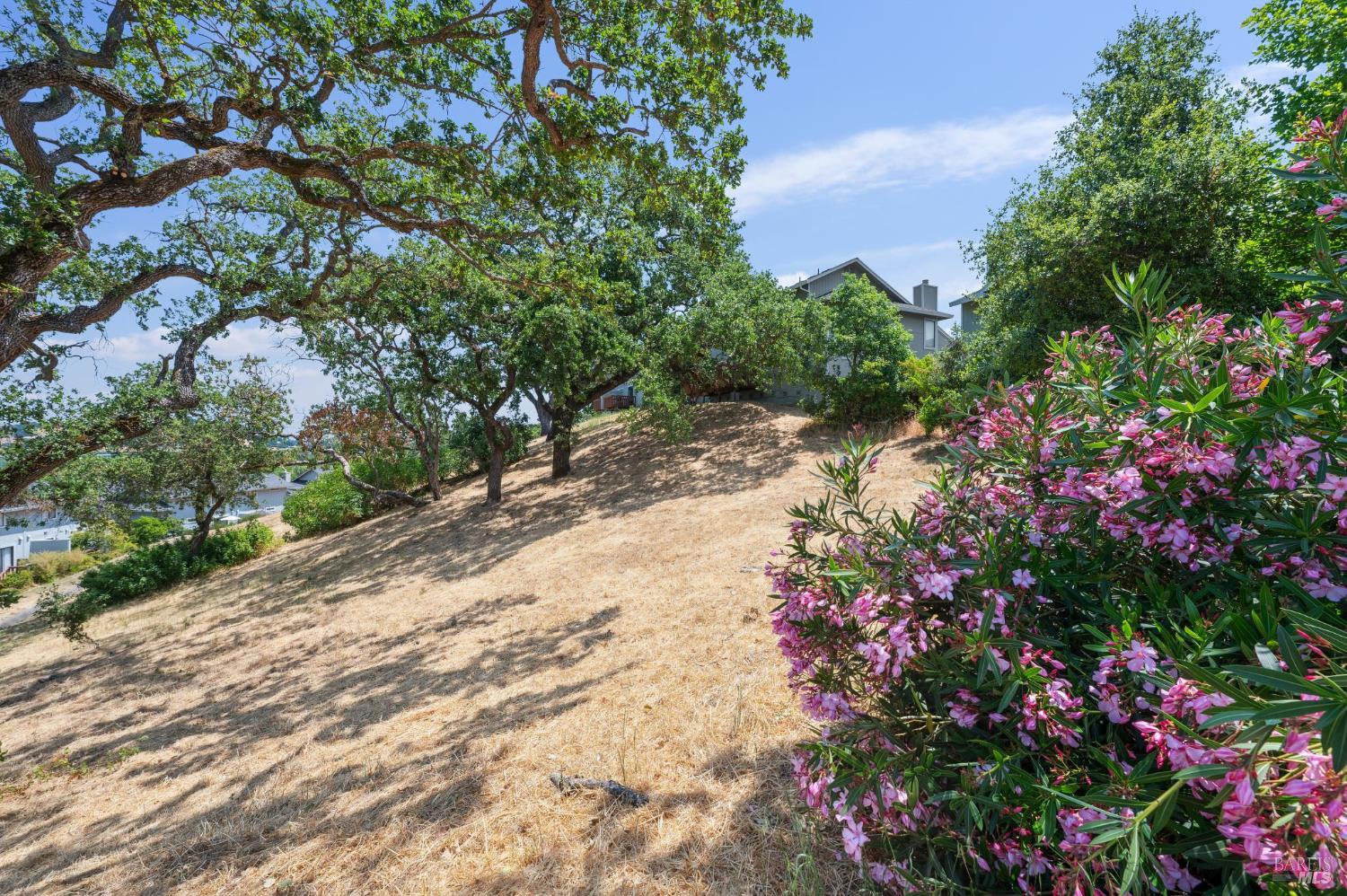 Detail Gallery Image 29 of 29 For 5 Briarwood Ct, Novato,  CA 94947 - 3 Beds | 2/1 Baths