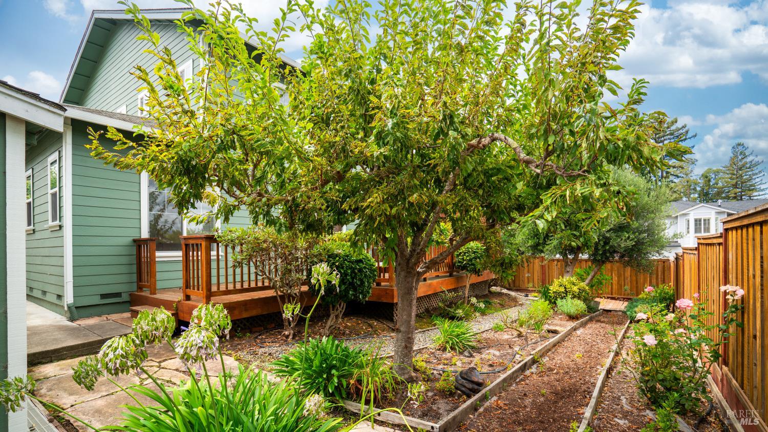 Detail Gallery Image 24 of 32 For 469 Christensen Ln, Cotati,  CA 94931 - 3 Beds | 2/1 Baths