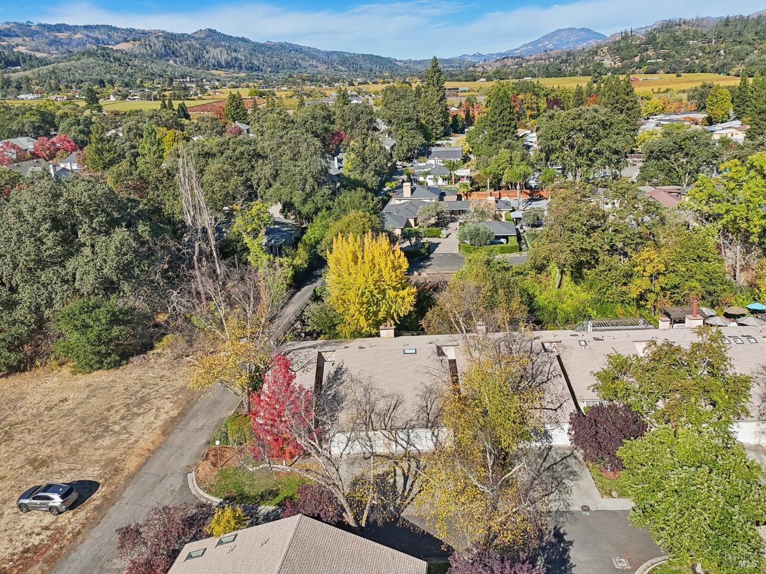 Detail Gallery Image 28 of 34 For 1240 Peppertree Cir, Saint Helena,  CA 94574 - 2 Beds | 2 Baths