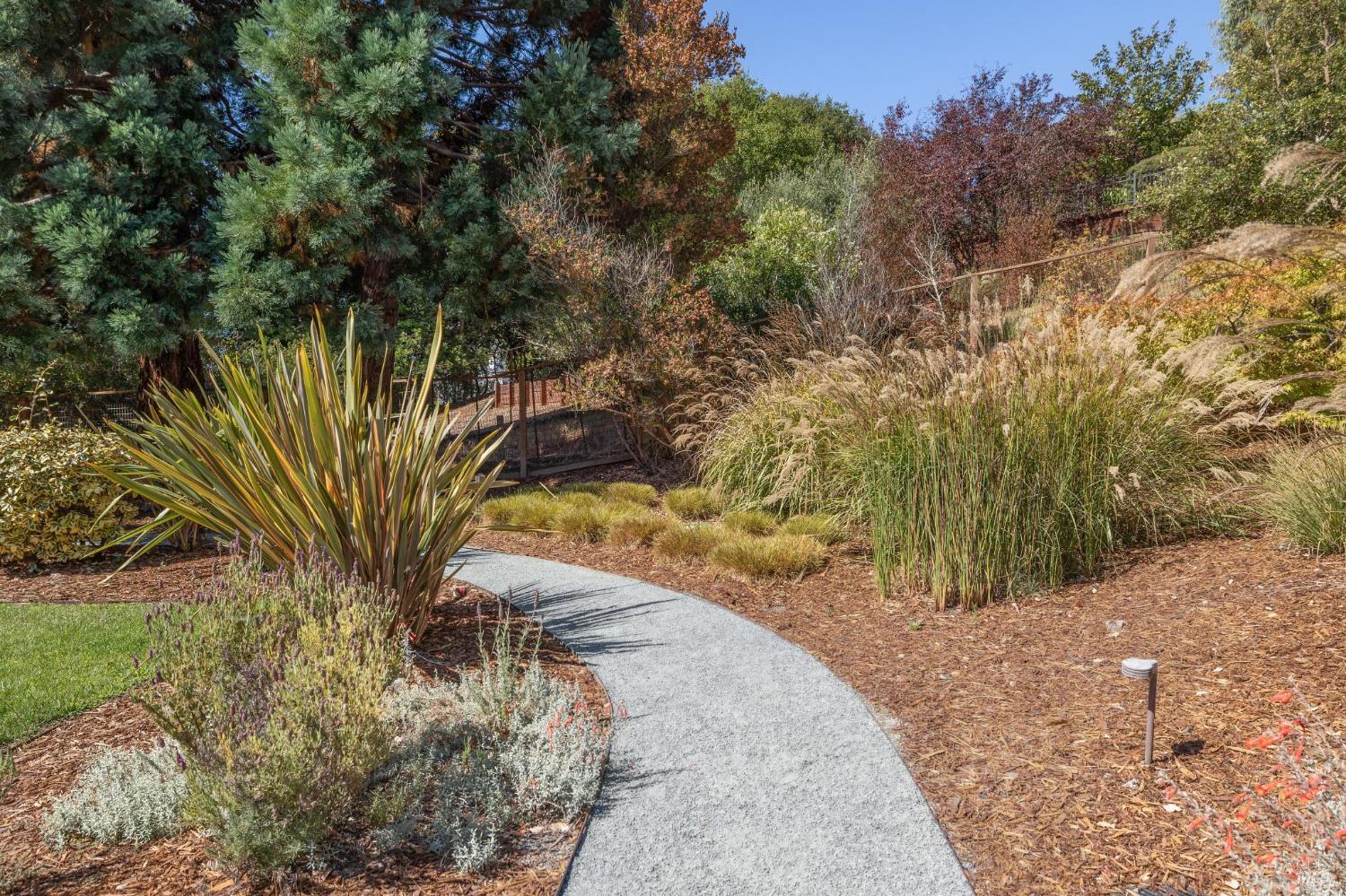Detail Gallery Image 67 of 80 For 103 Reed Ranch Rd, Belvedere Tiburon,  CA 94920 - 4 Beds | 4 Baths