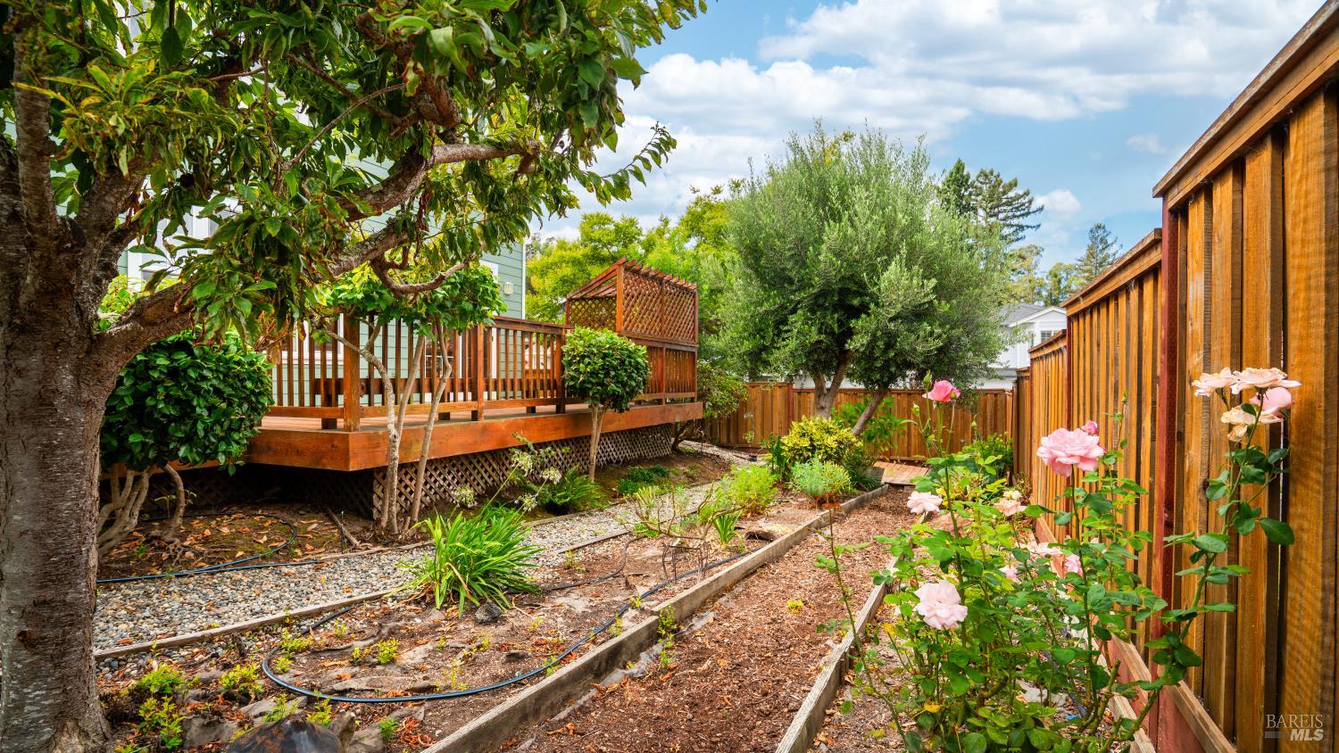 Detail Gallery Image 26 of 32 For 469 Christensen Ln, Cotati,  CA 94931 - 3 Beds | 2/1 Baths