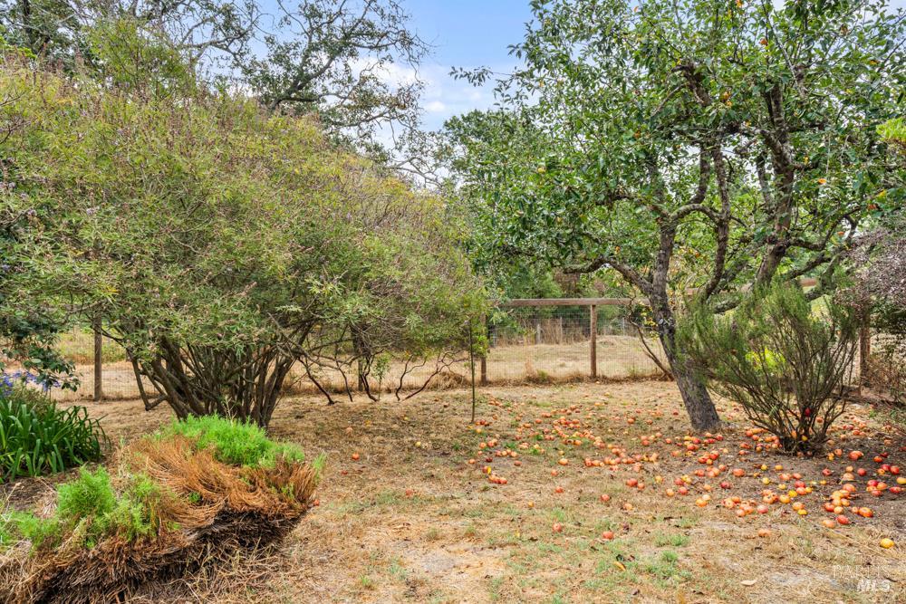 Detail Gallery Image 40 of 53 For 5152 Mcfarlane Rd, Sebastopol,  CA 95472 - 3 Beds | 1 Baths