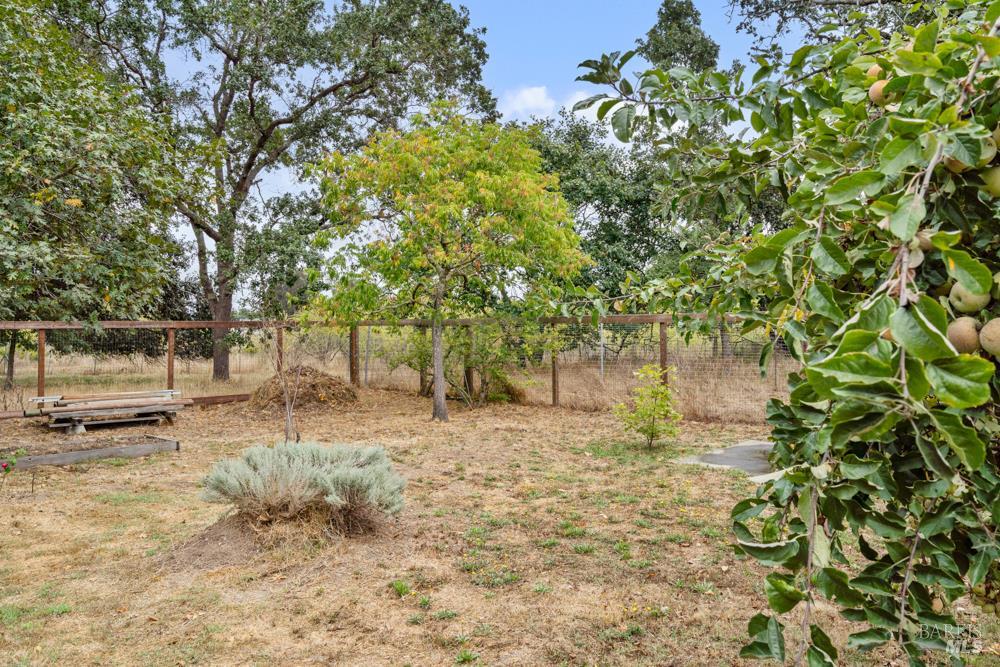 Detail Gallery Image 41 of 53 For 5152 Mcfarlane Rd, Sebastopol,  CA 95472 - 3 Beds | 1 Baths