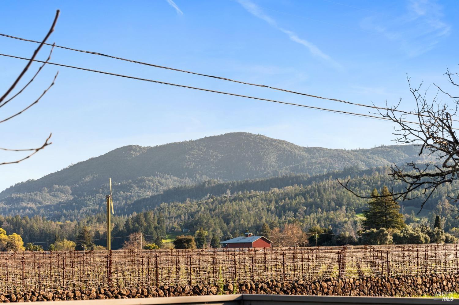 Detail Gallery Image 32 of 37 For 1316 Sulphur Springs Ave, Saint Helena,  CA 94574 - 3 Beds | 2 Baths