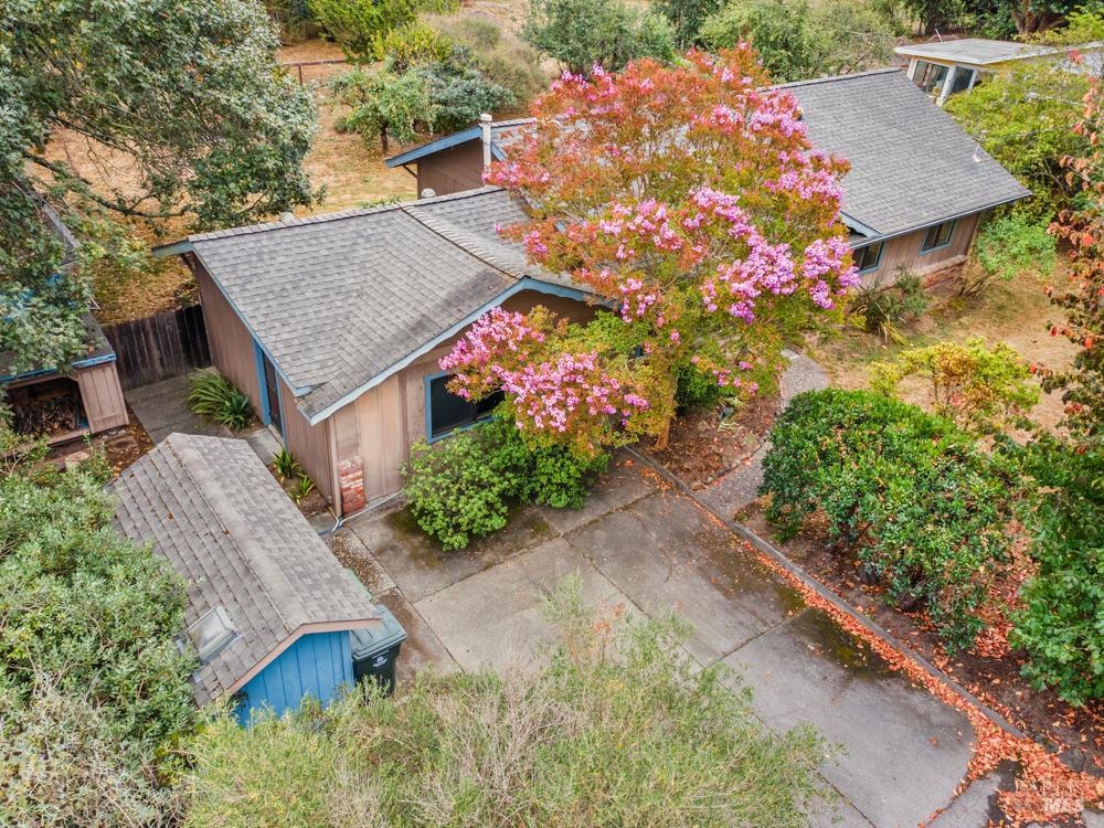 Detail Gallery Image 39 of 53 For 5152 Mcfarlane Rd, Sebastopol,  CA 95472 - 3 Beds | 1 Baths
