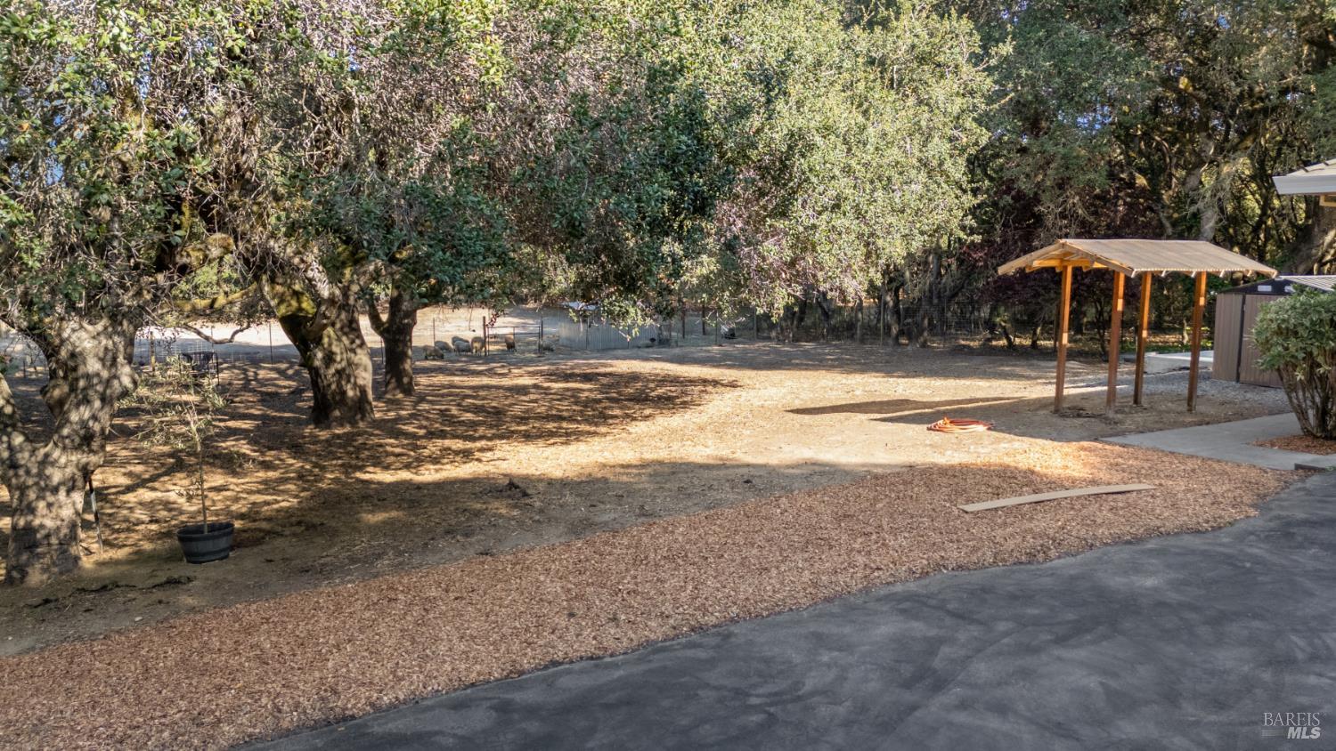 Detail Gallery Image 49 of 59 For 5925 Fredricks Rd, Sebastopol,  CA 95472 - 3 Beds | 2 Baths