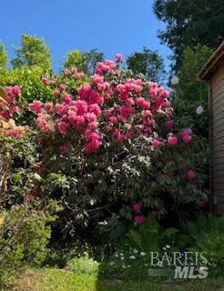 Detail Gallery Image 26 of 46 For 154 Elm Ave, Mill Valley,  CA 94941 - 2 Beds | 2 Baths