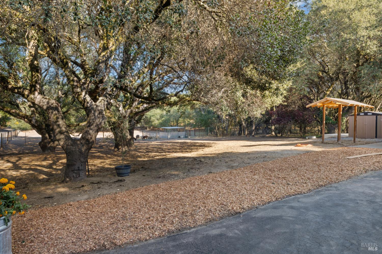 Detail Gallery Image 57 of 59 For 5925 Fredricks Rd, Sebastopol,  CA 95472 - 3 Beds | 2 Baths