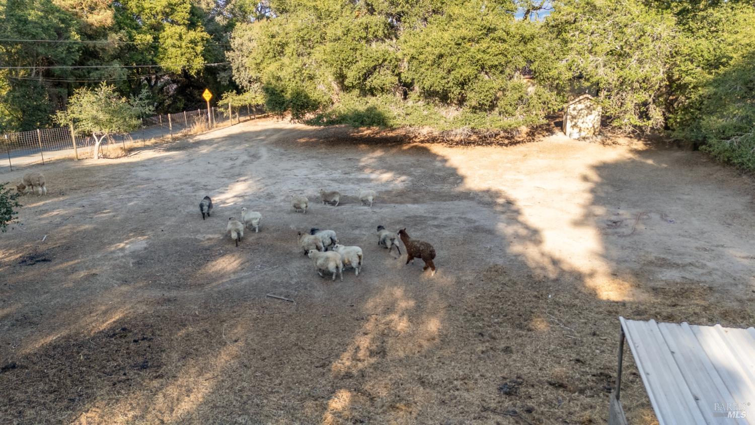 Detail Gallery Image 56 of 59 For 5925 Fredricks Rd, Sebastopol,  CA 95472 - 3 Beds | 2 Baths