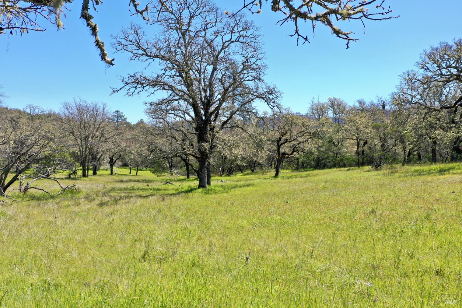 Detail Gallery Image 90 of 99 For 5175 Petrified Forest Rd, Calistoga,  CA 94515 - 3 Beds | 1 Baths
