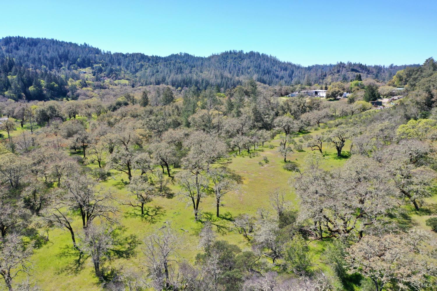 Detail Gallery Image 93 of 99 For 5175 Petrified Forest Rd, Calistoga,  CA 94515 - 3 Beds | 1 Baths
