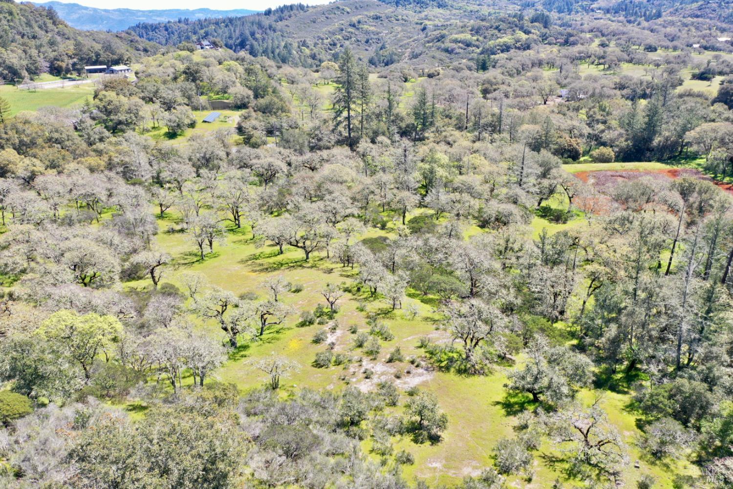 Detail Gallery Image 95 of 99 For 5175 Petrified Forest Rd, Calistoga,  CA 94515 - 3 Beds | 1 Baths
