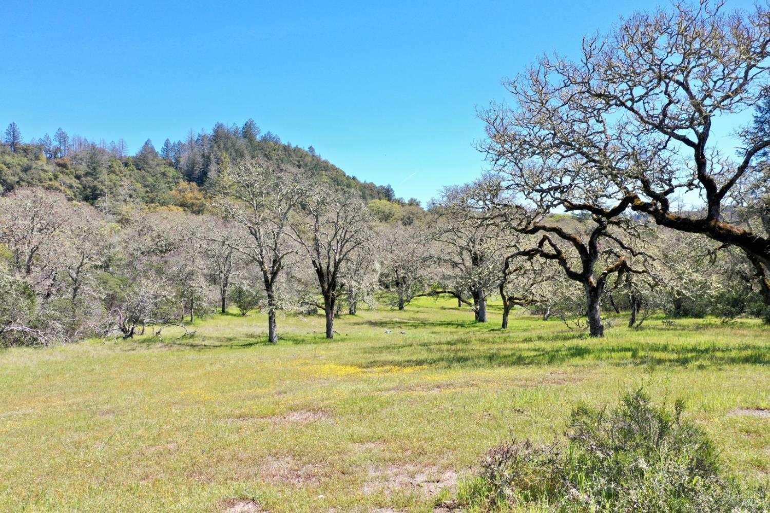 Detail Gallery Image 91 of 99 For 5175 Petrified Forest Rd, Calistoga,  CA 94515 - 3 Beds | 1 Baths