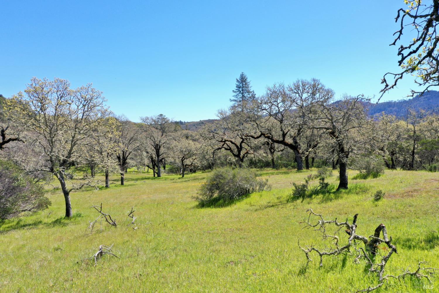 Detail Gallery Image 92 of 99 For 5175 Petrified Forest Rd, Calistoga,  CA 94515 - 3 Beds | 1 Baths