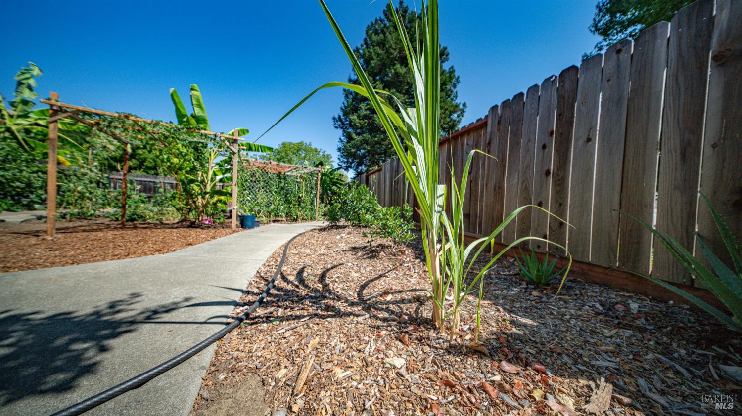 Detail Gallery Image 62 of 75 For 2231 Silver Fox Cir, Fairfield,  CA 94534 - 4 Beds | 3 Baths
