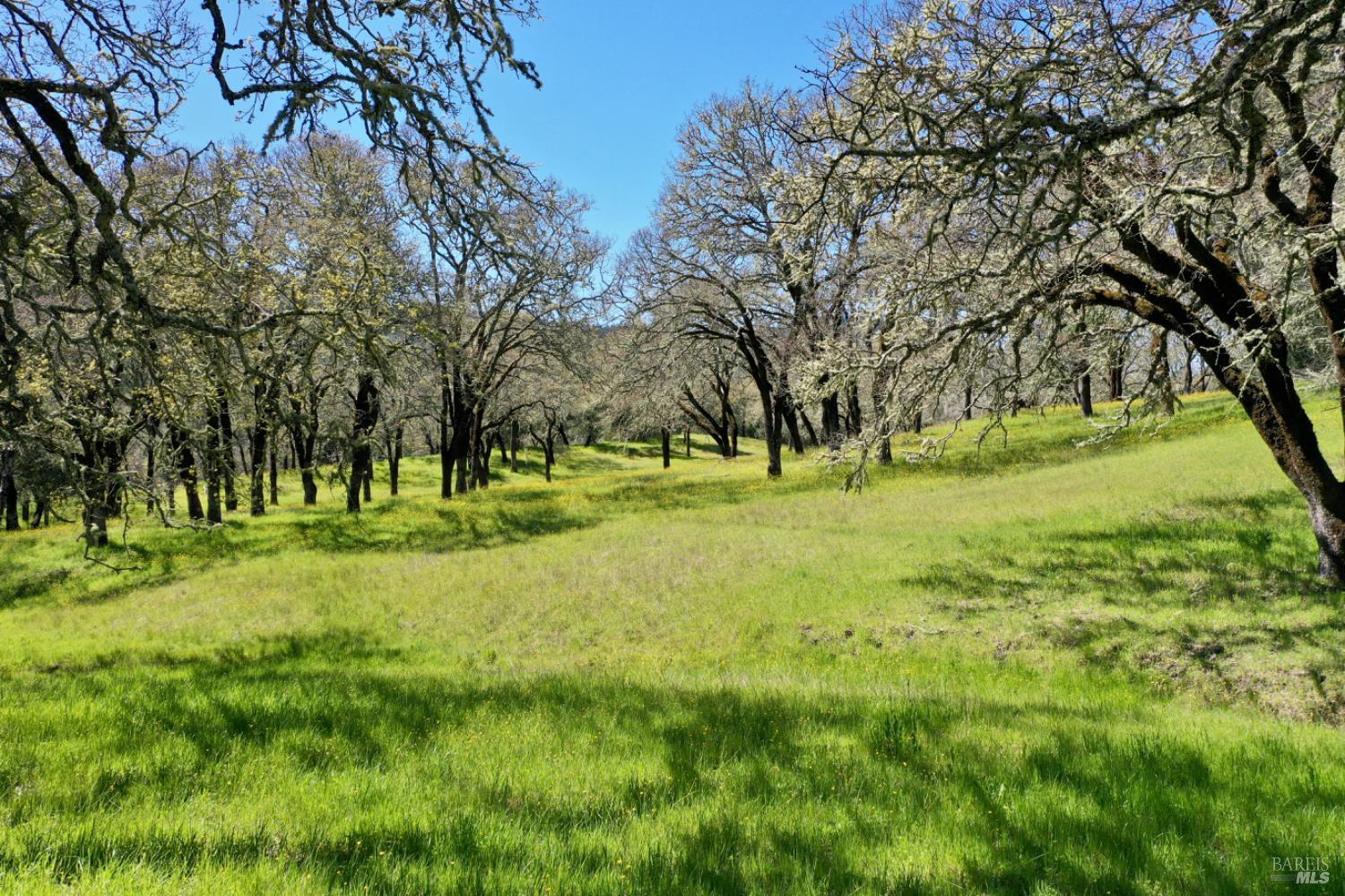 Detail Gallery Image 86 of 99 For 5175 Petrified Forest Rd, Calistoga,  CA 94515 - 3 Beds | 1 Baths