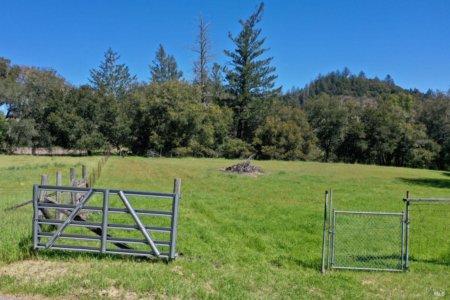 Detail Gallery Image 8 of 99 For 5175 Petrified Forest Rd, Calistoga,  CA 94515 - 3 Beds | 1 Baths