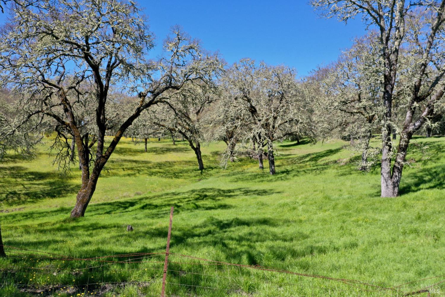 Detail Gallery Image 85 of 99 For 5175 Petrified Forest Rd, Calistoga,  CA 94515 - 3 Beds | 1 Baths