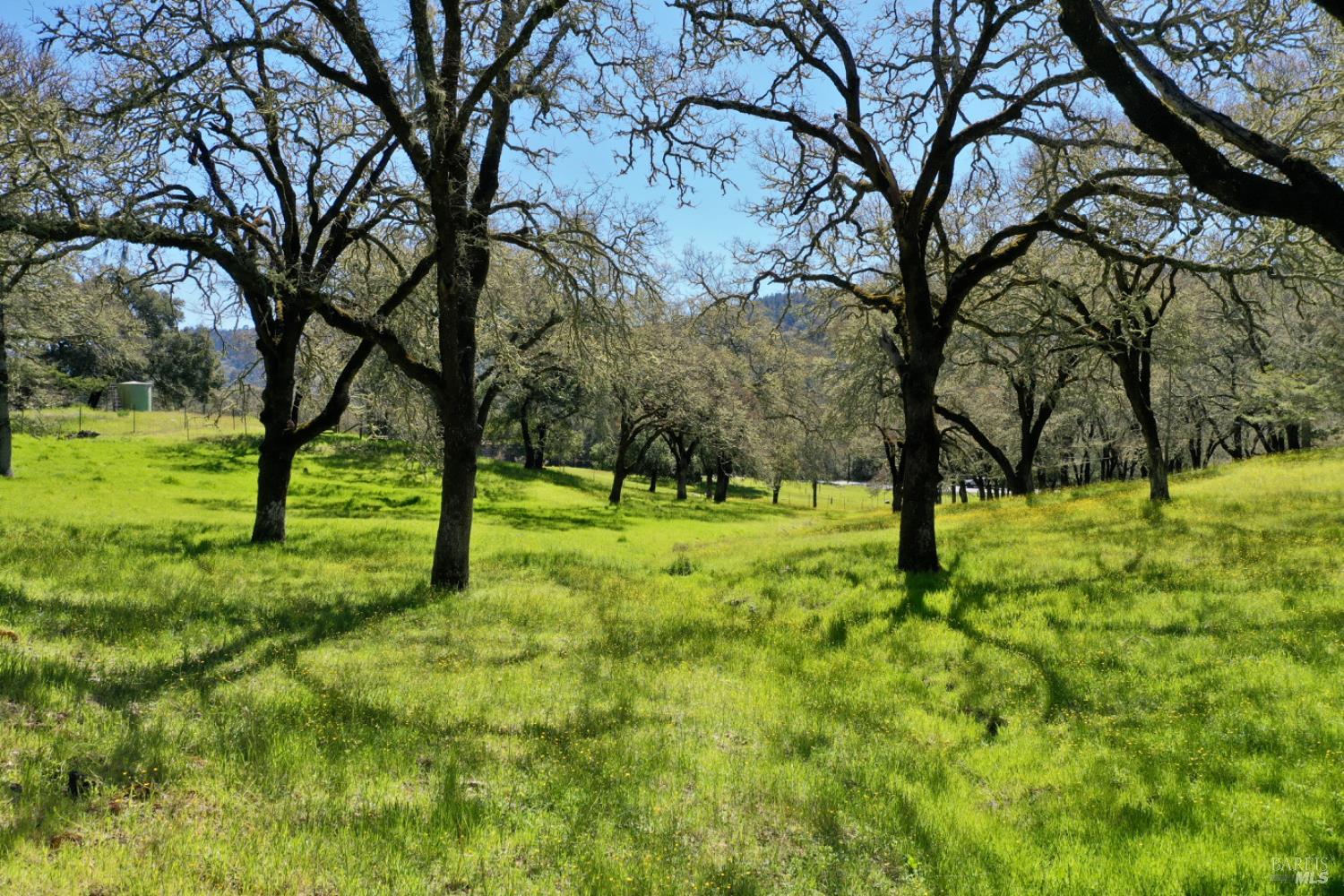 Detail Gallery Image 88 of 99 For 5175 Petrified Forest Rd, Calistoga,  CA 94515 - 3 Beds | 1 Baths