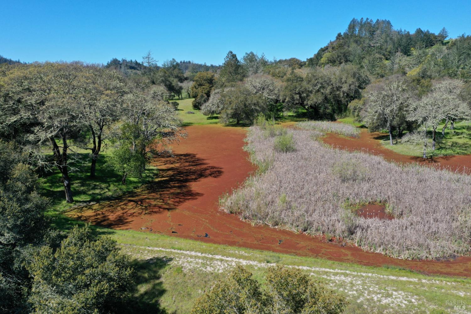 Detail Gallery Image 60 of 99 For 5175 Petrified Forest Rd, Calistoga,  CA 94515 - 3 Beds | 1 Baths