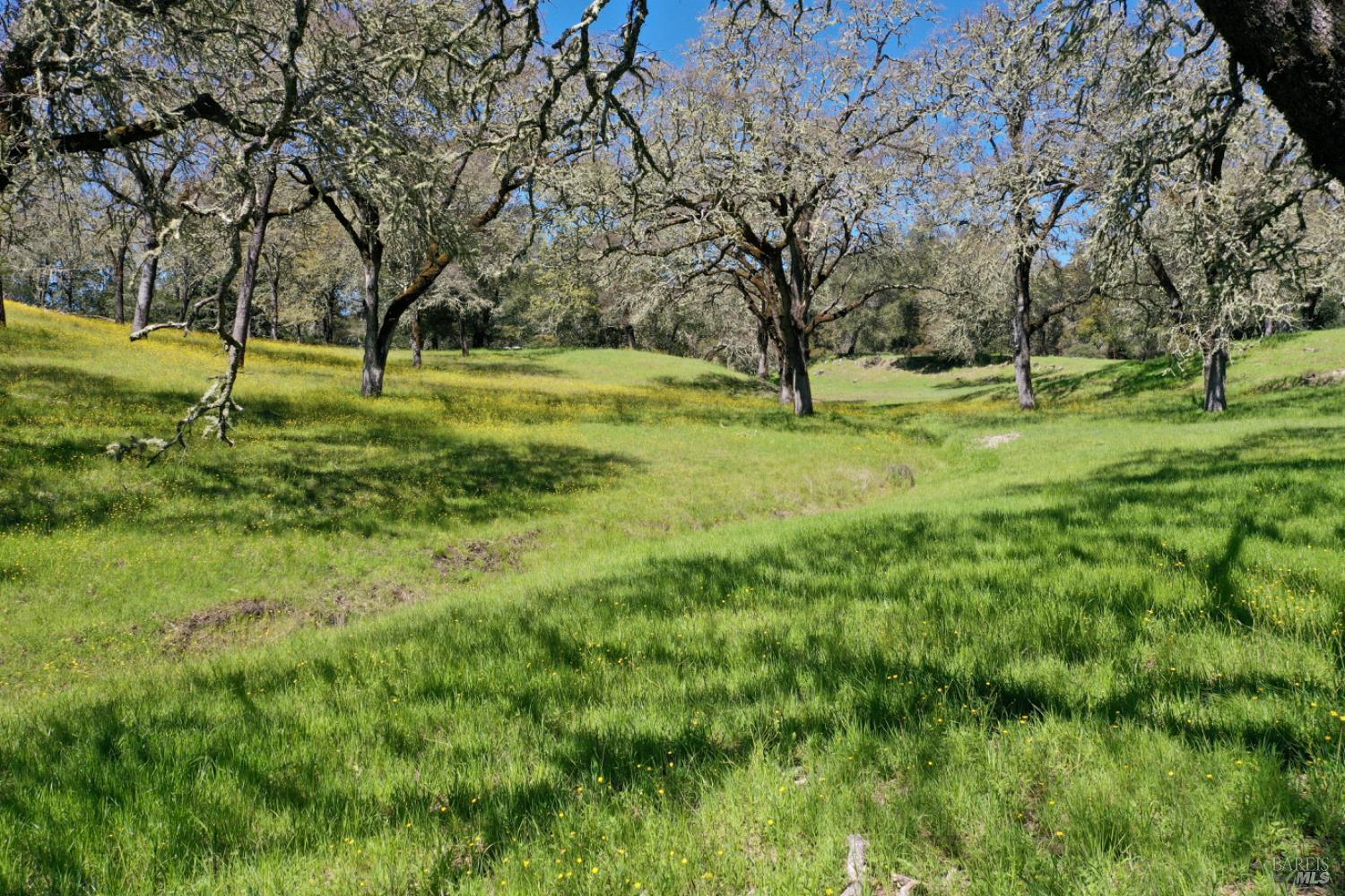 Detail Gallery Image 87 of 99 For 5175 Petrified Forest Rd, Calistoga,  CA 94515 - 3 Beds | 1 Baths