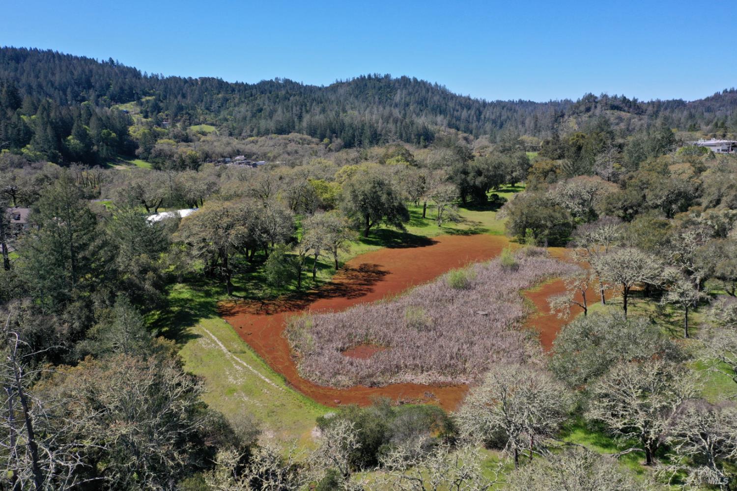 Detail Gallery Image 59 of 99 For 5175 Petrified Forest Rd, Calistoga,  CA 94515 - 3 Beds | 1 Baths