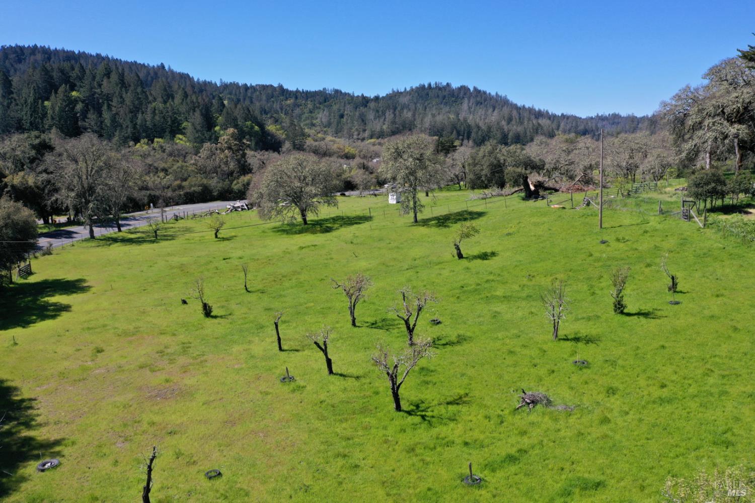 Detail Gallery Image 57 of 99 For 5175 Petrified Forest Rd, Calistoga,  CA 94515 - 3 Beds | 1 Baths