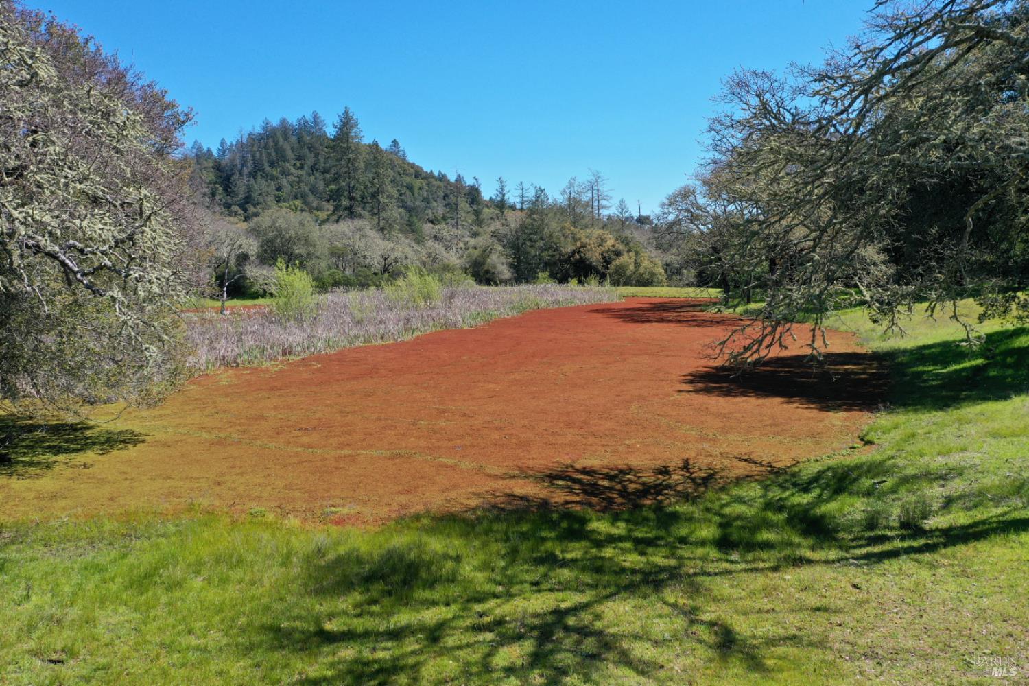 Detail Gallery Image 63 of 99 For 5175 Petrified Forest Rd, Calistoga,  CA 94515 - 3 Beds | 1 Baths