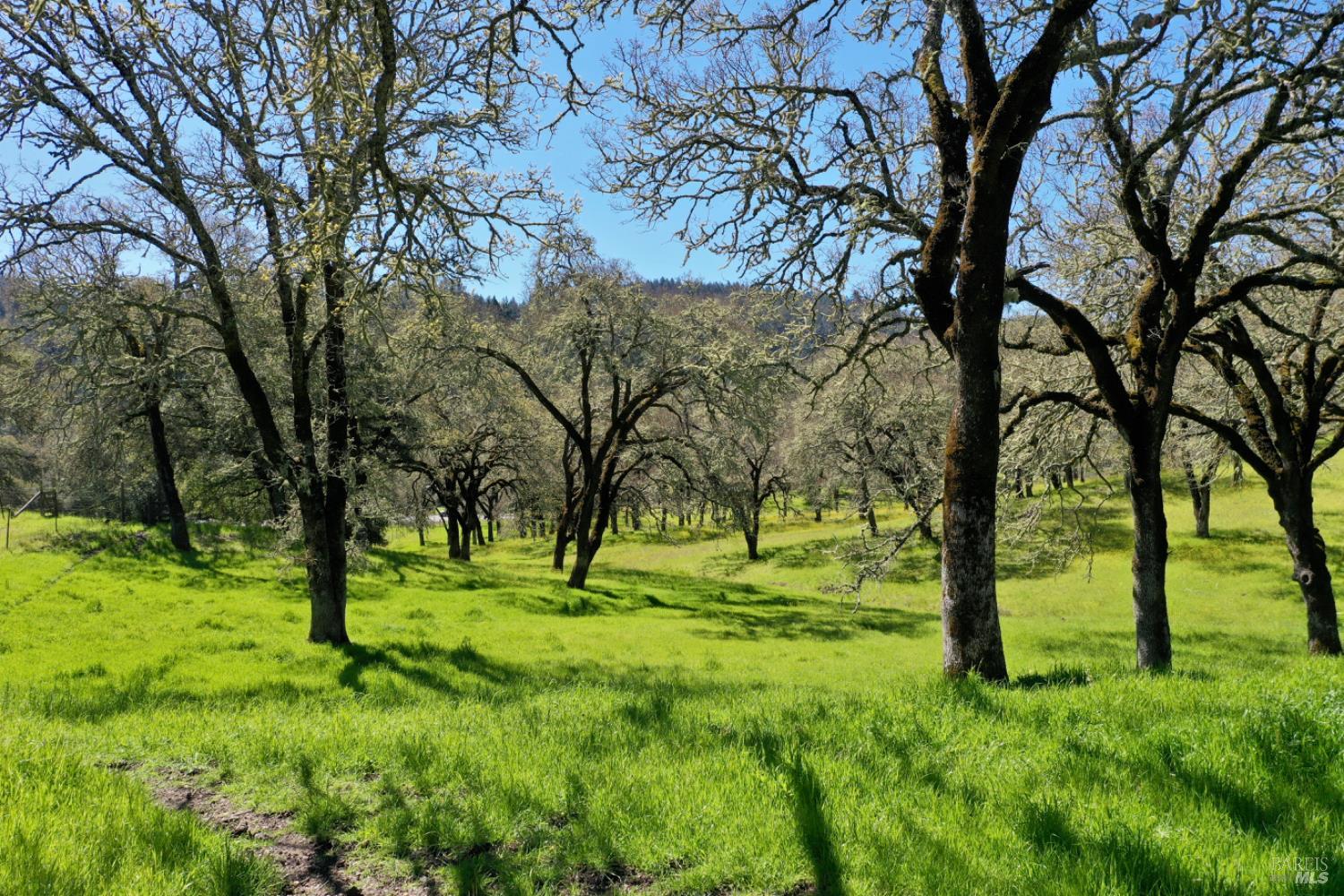 Detail Gallery Image 67 of 99 For 5175 Petrified Forest Rd, Calistoga,  CA 94515 - 3 Beds | 1 Baths