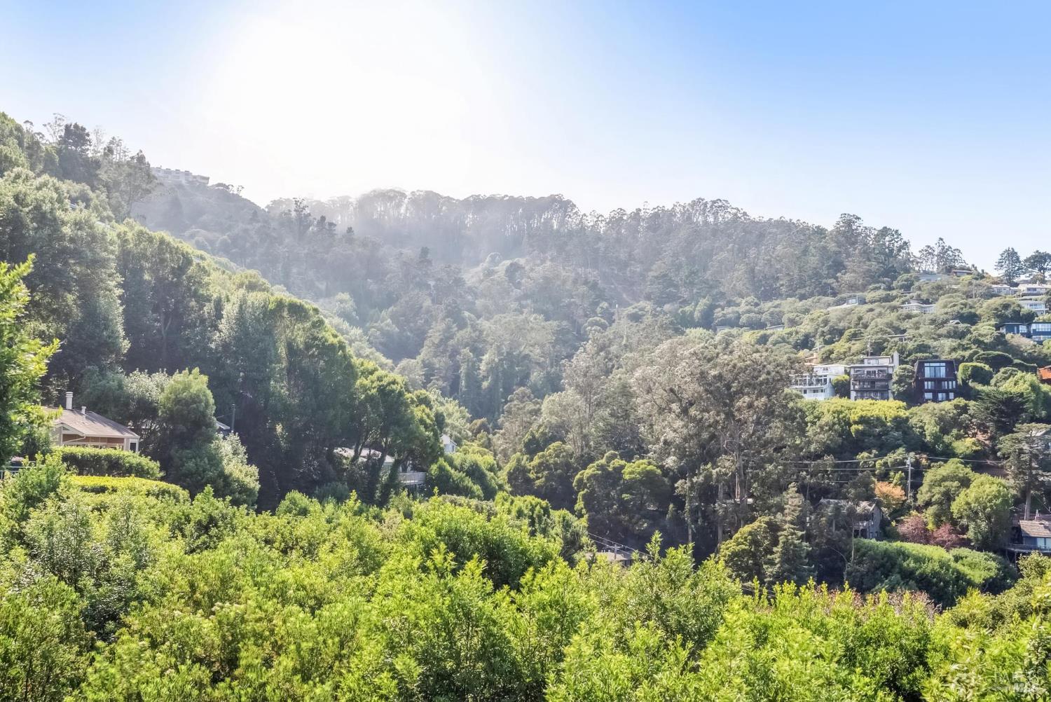 Detail Gallery Image 49 of 51 For 184 Santa Rosa Ave, Sausalito,  CA 94965 - 3 Beds | 2/1 Baths