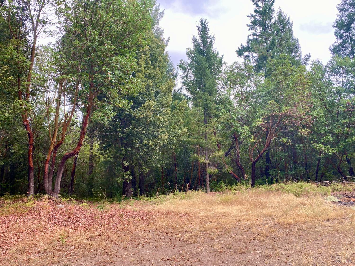 Detail Gallery Image 4 of 15 For 46700 Highway 101 Unkn, Laytonville,  CA 95454 - – Beds | – Baths