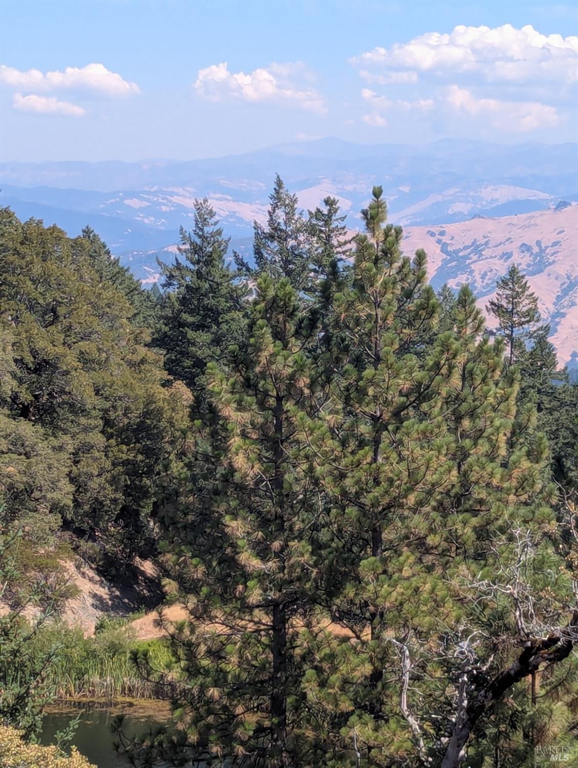 Detail Gallery Image 19 of 29 For 0 Registered Guest Rd, Laytonville,  CA 95454 - – Beds | – Baths