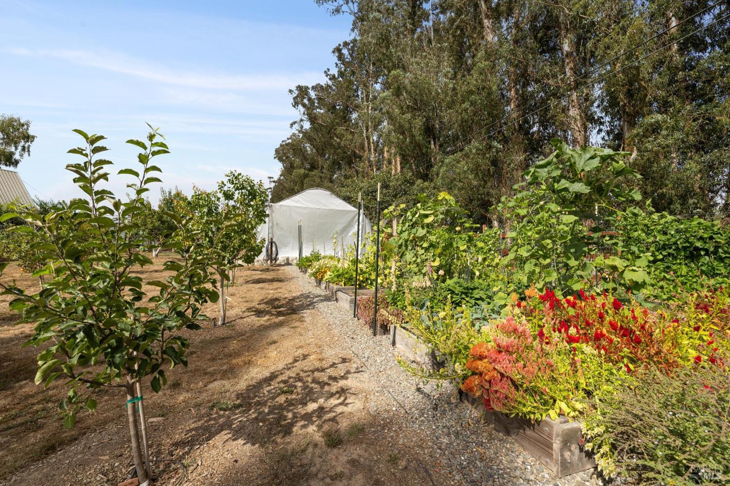 Detail Gallery Image 48 of 62 For 5611 Blank Rd, Sebastopol,  CA 95472 - 3 Beds | 2 Baths