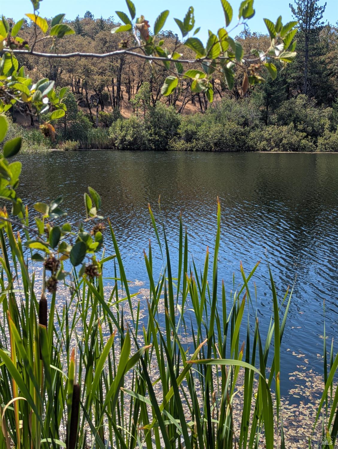 Detail Gallery Image 4 of 29 For 0 Registered Guest Rd, Laytonville,  CA 95454 - – Beds | – Baths