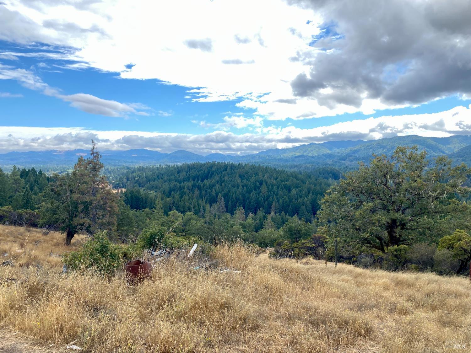 Detail Gallery Image 6 of 15 For 46700 Highway 101 Unkn, Laytonville,  CA 95454 - – Beds | – Baths