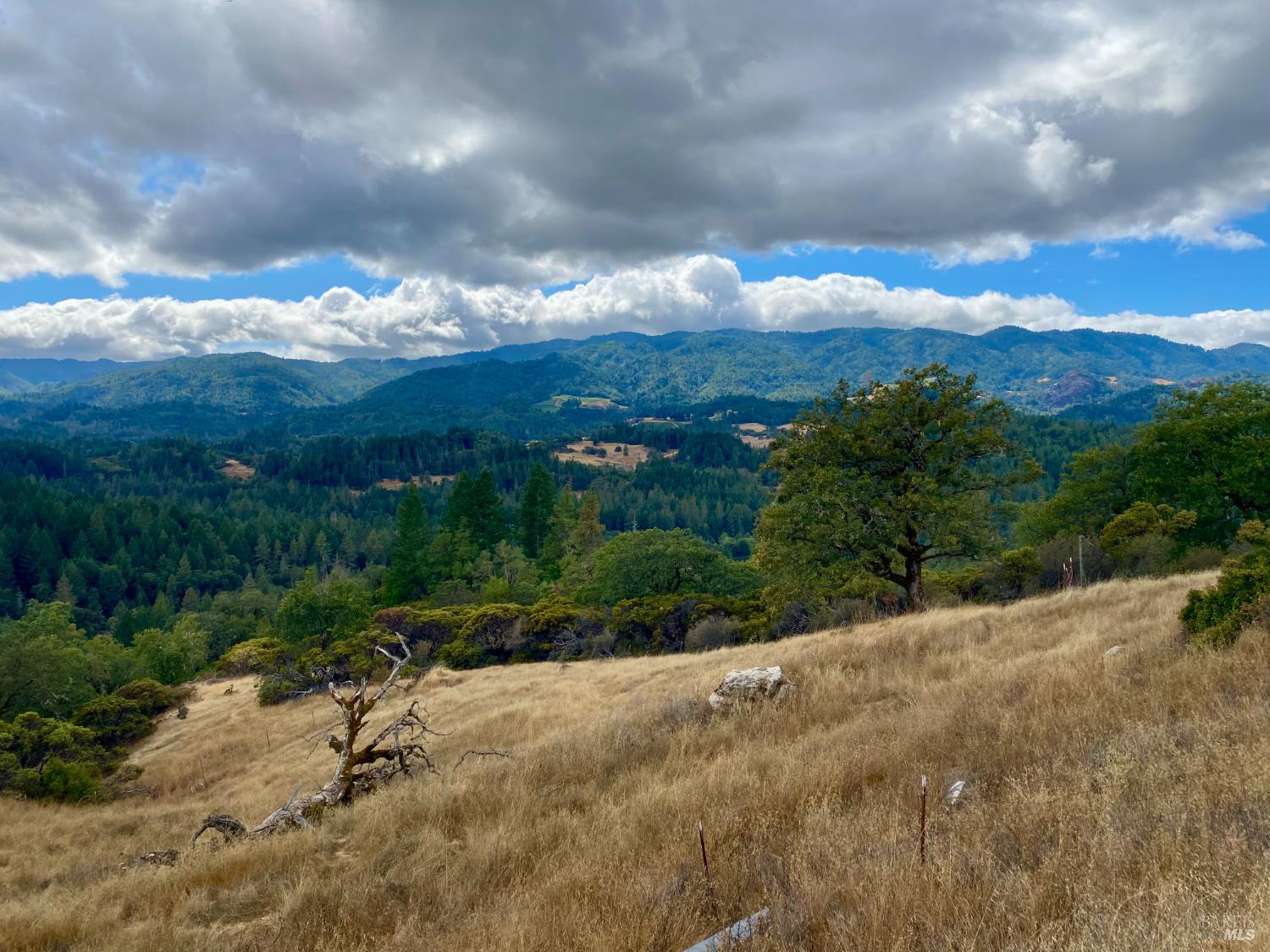 Detail Gallery Image 1 of 15 For 46700 Highway 101 Unkn, Laytonville,  CA 95454 - – Beds | – Baths
