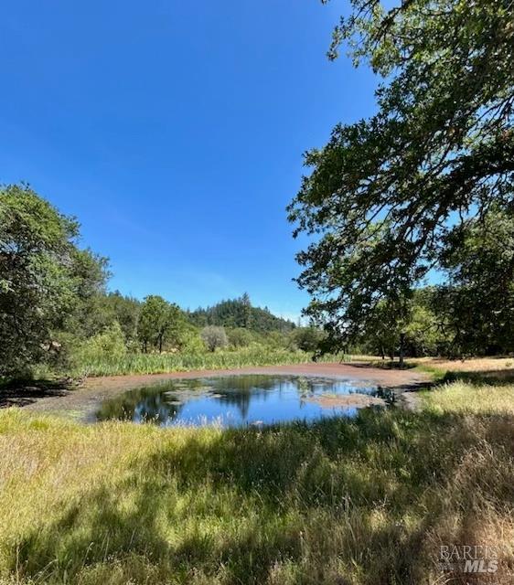 Detail Gallery Image 10 of 99 For 5175 Petrified Forest Rd, Calistoga,  CA 94515 - 3 Beds | 1 Baths