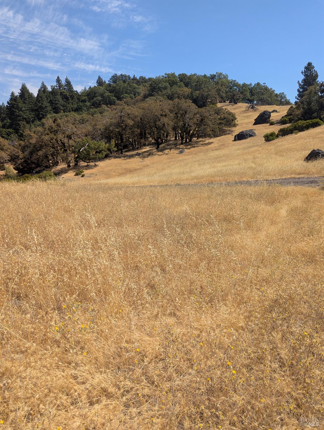 Detail Gallery Image 28 of 29 For 0 Registered Guest Rd, Laytonville,  CA 95454 - – Beds | – Baths