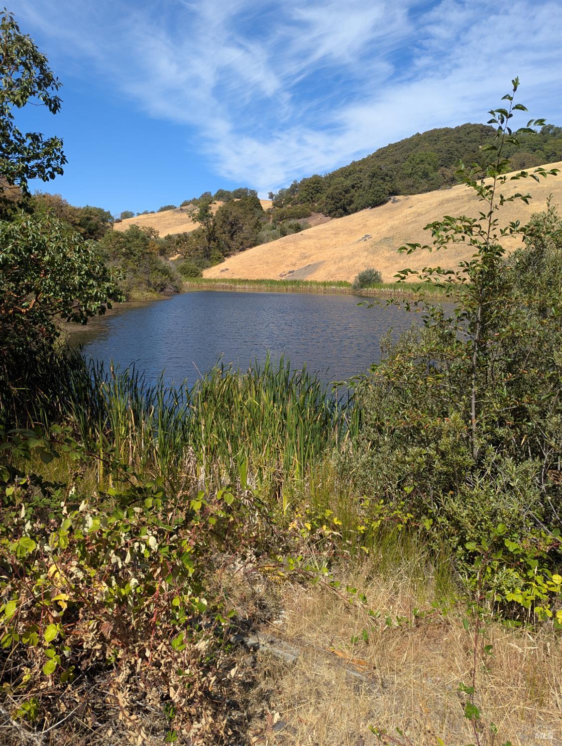 Detail Gallery Image 1 of 29 For 0 Registered Guest Rd, Laytonville,  CA 95454 - – Beds | – Baths