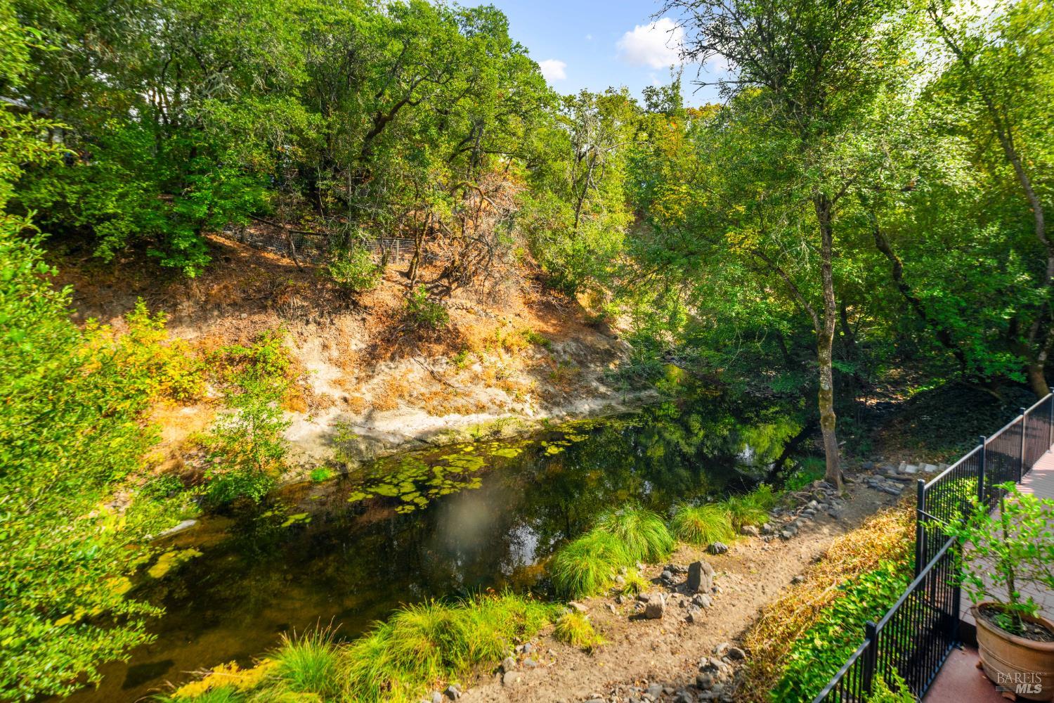 Detail Gallery Image 8 of 39 For 4300 Warm Springs Rd, Glen Ellen,  CA 95442 - 4 Beds | 2 Baths