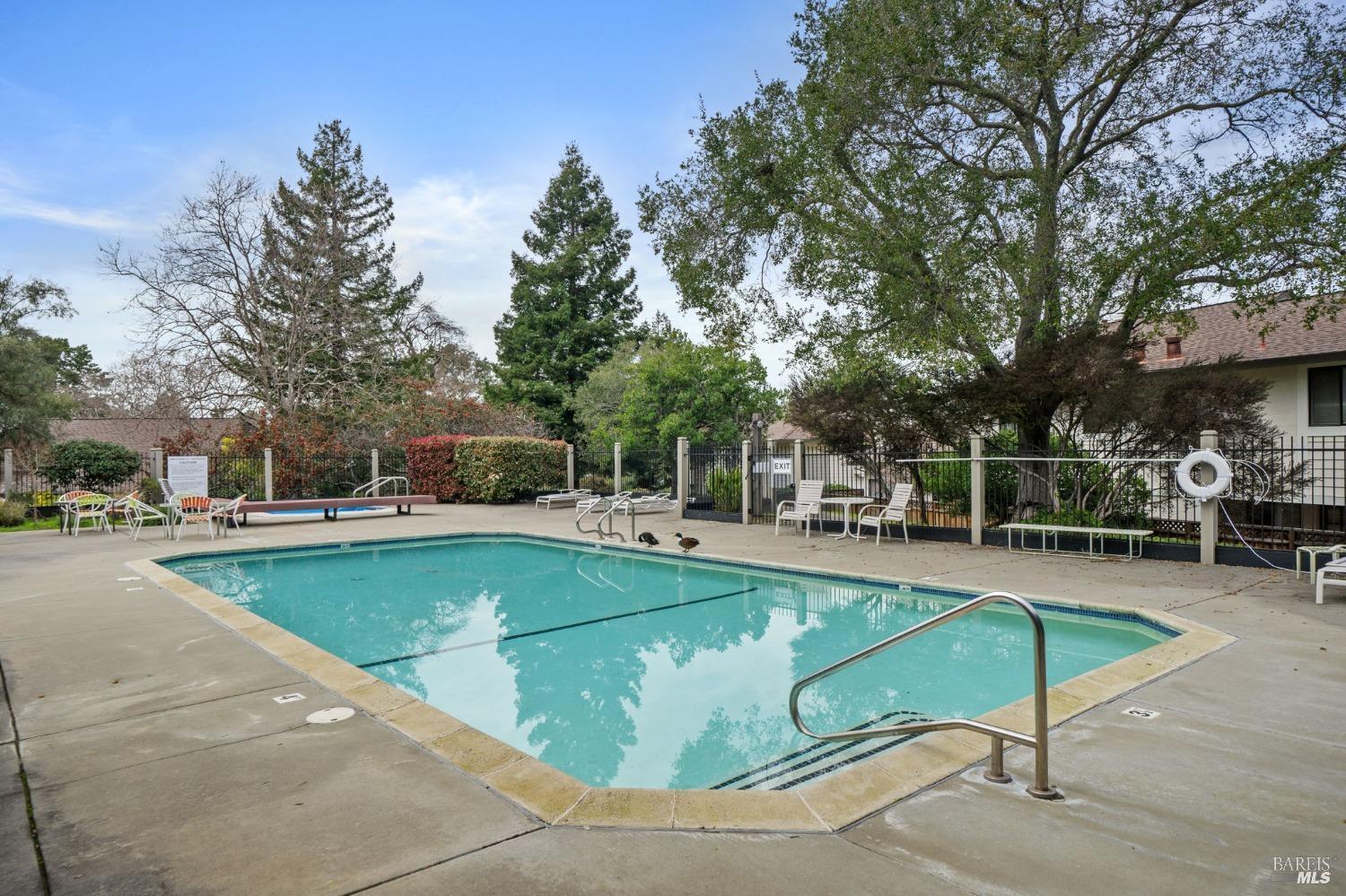 Detail Gallery Image 32 of 37 For 9 Village Ct, San Rafael,  CA 94903 - 3 Beds | 2/1 Baths