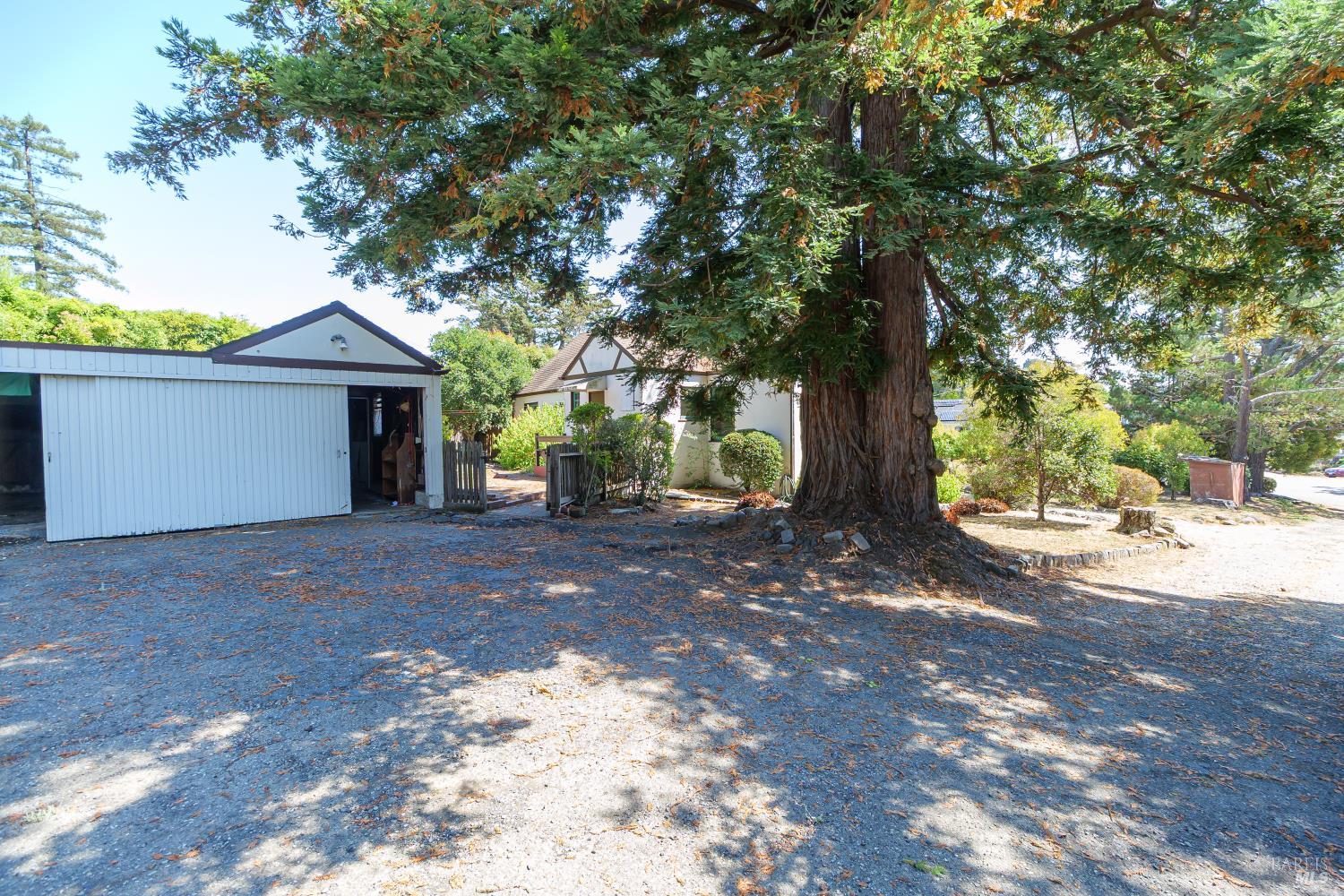Detail Gallery Image 32 of 35 For 20 Shell Rd, Mill Valley,  CA 94941 - 3 Beds | 1/1 Baths